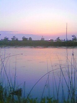 bayou.jpg (17260 bytes)