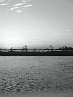 bwbayou.jpg (15948 bytes)