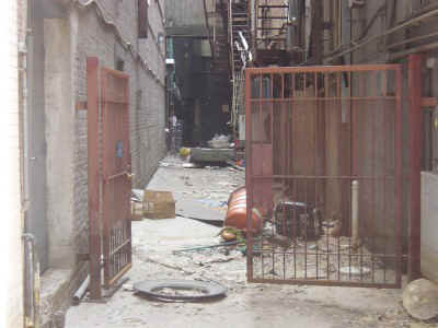 ally.jpg (48981 bytes)