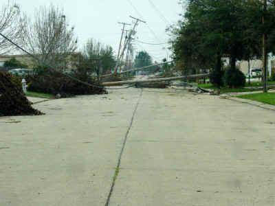 champsline.jpg (45241 bytes)