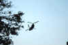 copter_small.jpg (1606 bytes)