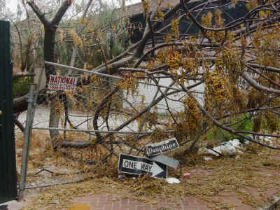 dauphine.jpg (81231 bytes)