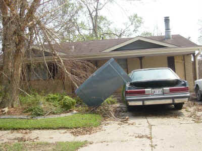 trunk.jpg (63375 bytes)