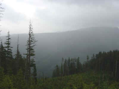 mthood.jpg (25944 bytes)