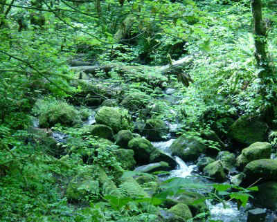 ptown1.jpg (96579 bytes)