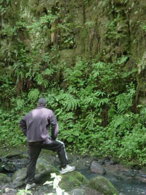 ptown2.jpg (68825 bytes)