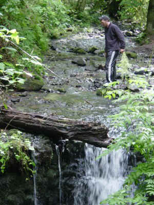 ptown3.jpg (73081 bytes)